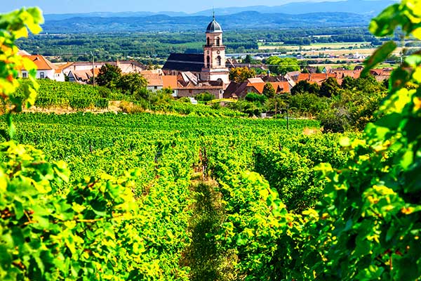 Hôtel pour évènements, Quincié-en-Beaujolais, Le Mont Brouilly