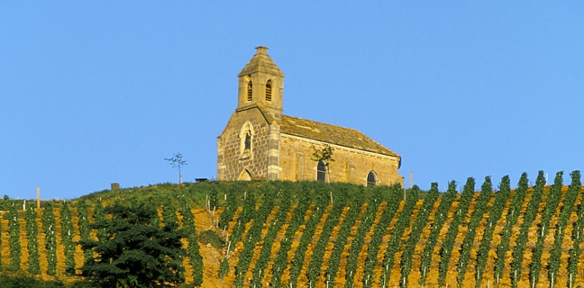 route des vins à Quincié-en-Beaujolais