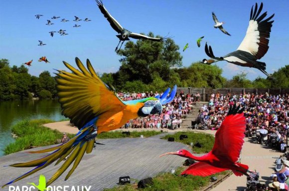 Parc des oiseaux à Quincié-en-Beaujolai