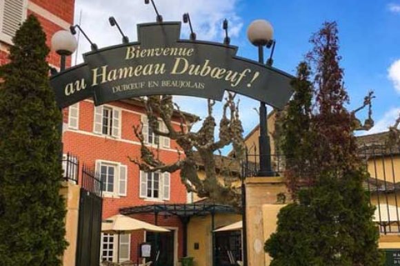 Découvrir un vignoble dans le Beaujolais 