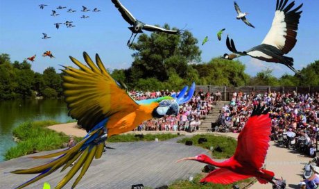 Parc des oiseaux à Quincié-en-Beaujolai